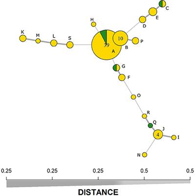 Association between the severity of histopathological lesions and Mycobacterium avium subspecies paratuberculosis (MAP) molecular diversity in cattle in southern Chile